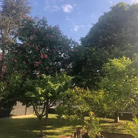 Oda ve Kahvaltı Marilyn *