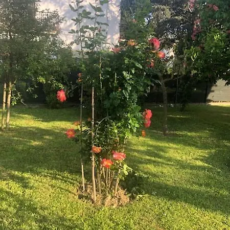 Marilyn Oda ve Kahvaltı