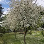 Bed & Breakfast Marilyn Ravenna
