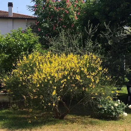 Bed and breakfast Marilyn