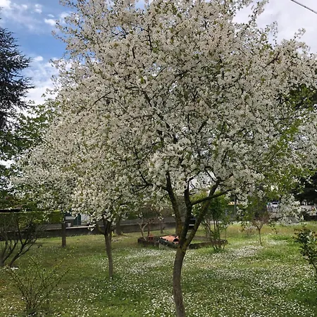 Bed and breakfast Marilyn Rávena