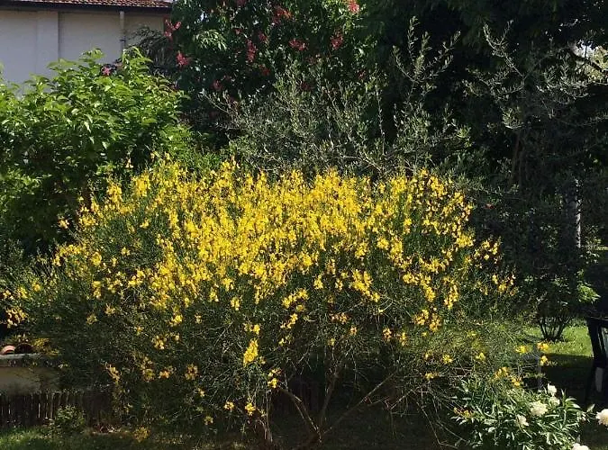 Bed & Breakfast Marilyn