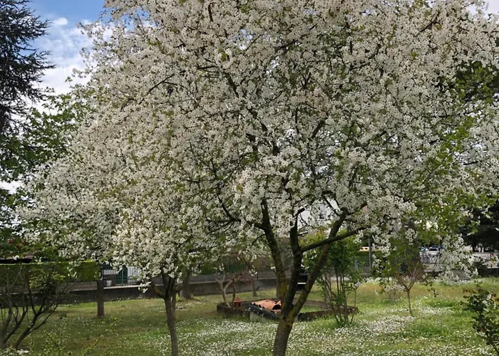 Bed & Breakfast Marilyn Ravenna